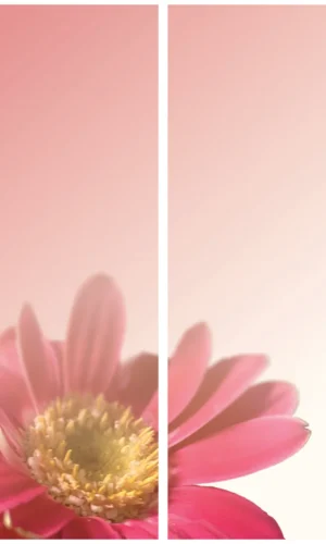 Trauerschleife mit Geranienmotiv - Zeichen der Freundschaft und des Trostes