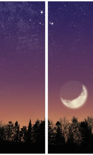 Trauerschleife mit Wald-Mondmotiv - Zeichen der Ruhe und des Übergangs