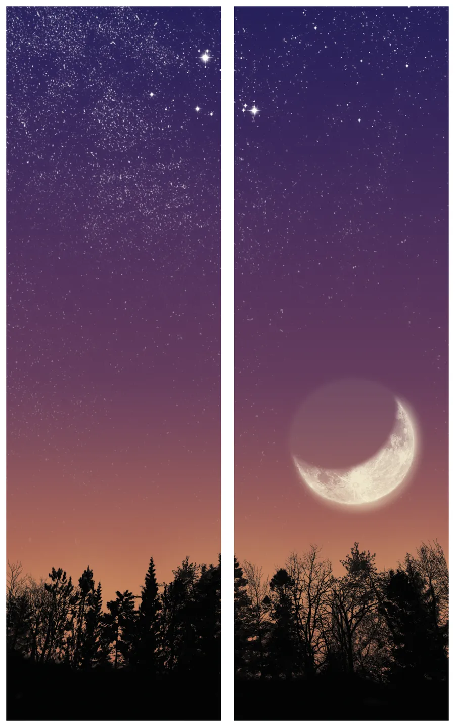 Trauerschleife mit Wald-Mondmotiv - Zeichen der Ruhe und des Übergangs