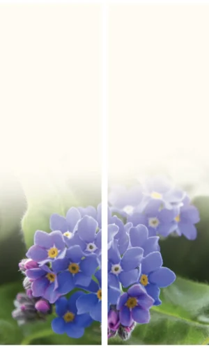 Trauerschleife mit Vergissmeinnichtmotiv - Zeichen der Erinnerung und Treue