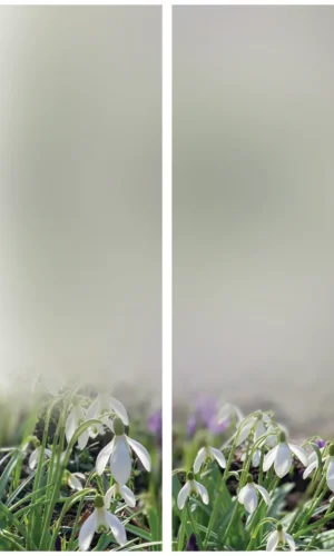 Trauerschleife mit Schneeglöckchenmotiv - Zeichen der Reinheit und Hoffnung