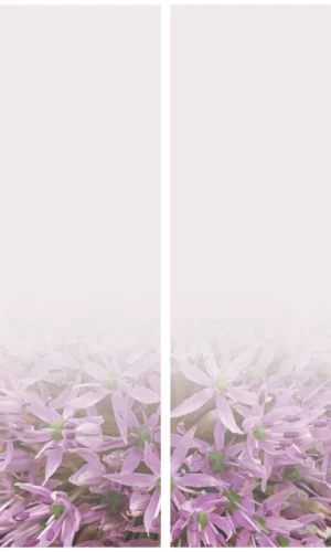 Grabschleife mit Zierlauchmotiv - Symbol für Schönheit und Eleganz