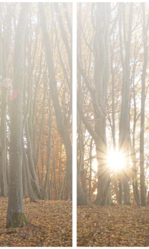 Grabschleife mit Wald-Sonne-Motiv - Symbol für Licht und Hoffnung in dunklen Zeiten