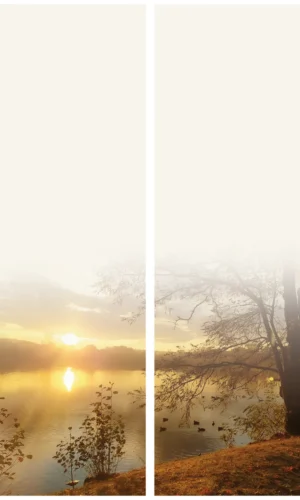 Trauerschleife mit Baum-Sonne-Motiv - Symbol für Hoffnung und Erneuerung