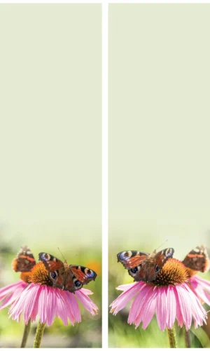 Trauerschleife mit Schmetterlingsmotiv - Symbol für Transformation und Freiheit