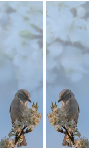 Trauerschleife mit Spatzen-Motiv - Symbol für Gemeinschaft und Zusammenhalt