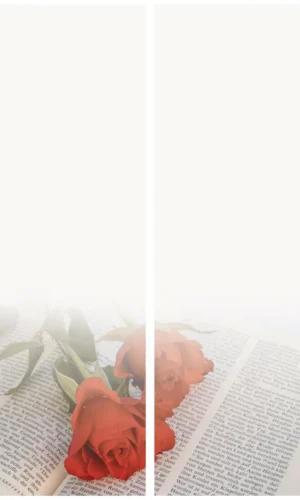 Trauerschleife mit Bibel-Rose-Motiv - Symbol für Glauben und Liebe