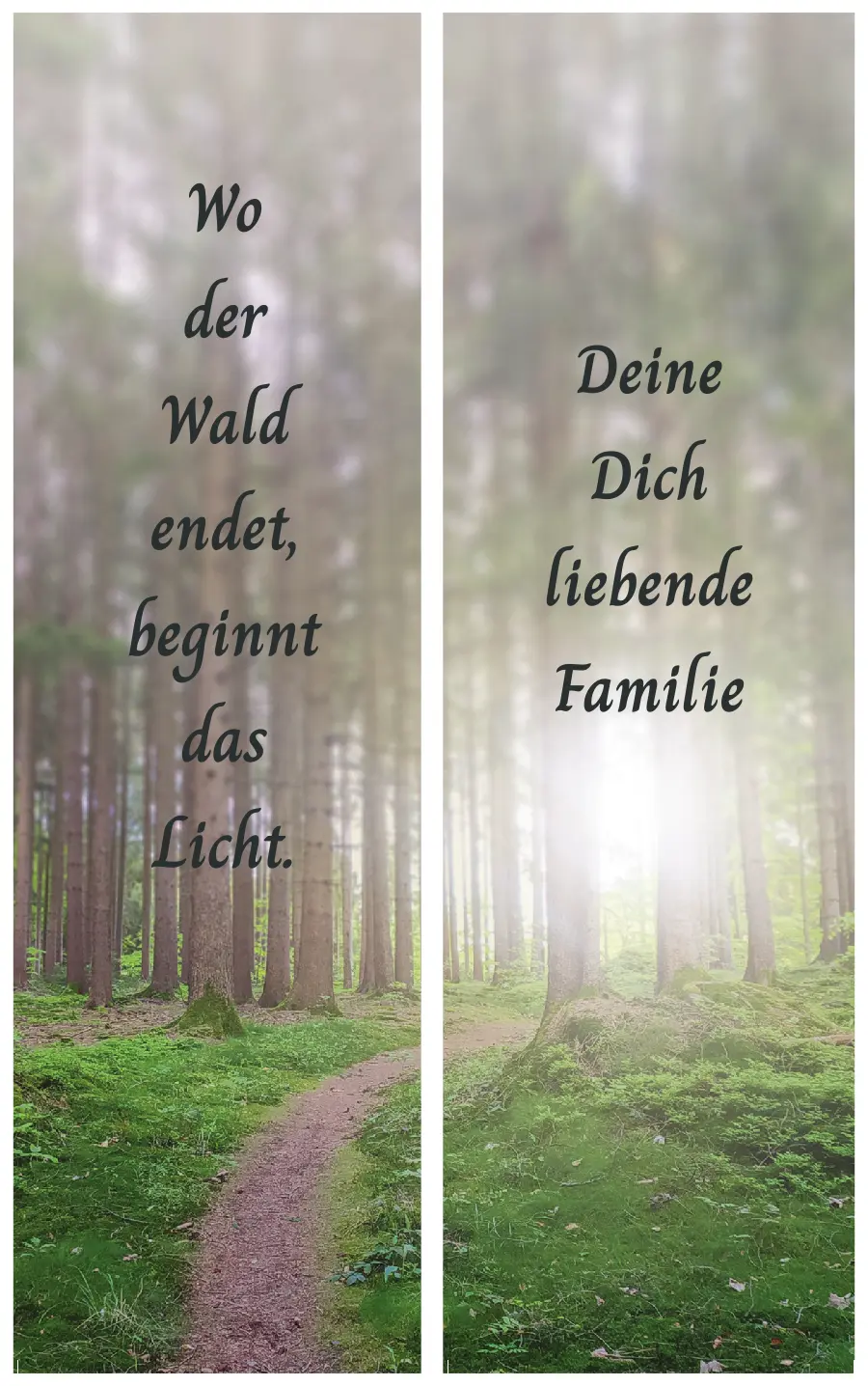 Motivtrauerschleife - Waldpfad in Sonnenlicht getaucht