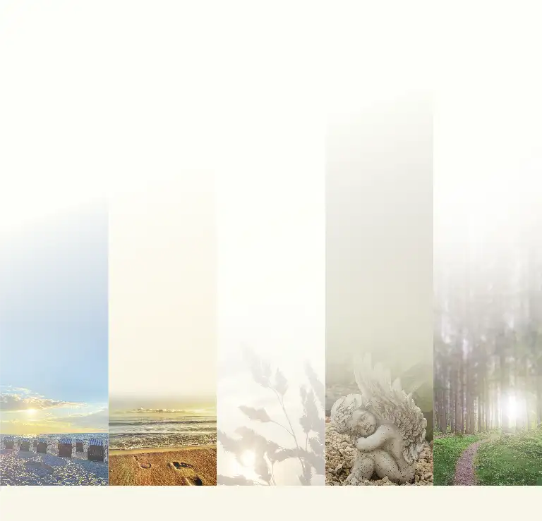 Header Trauerschleife24 Motivschleifen